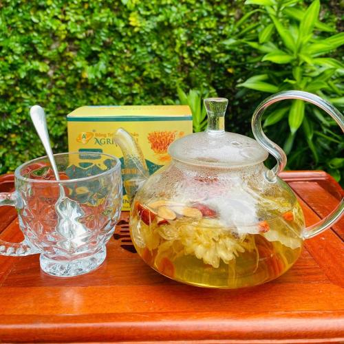 Trà Sâm Đông Trùng Hạ Thảo Có Tốt Cho Hệ Miễn Dịch Không?