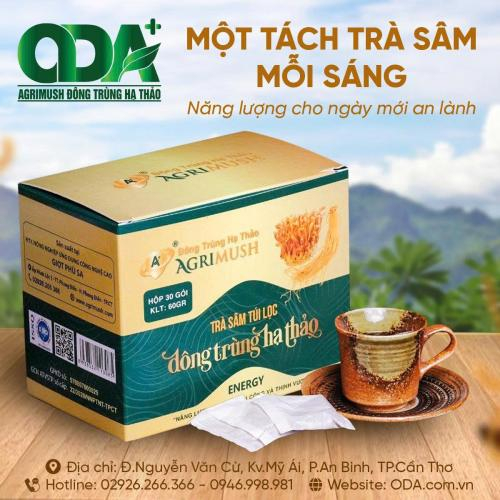 Trà Sâm Túi Lọc Đông Trùng Hạ Thảo Có Gì Đặc Biệt? Thành Phần, Lợi Ích & Cách Pha