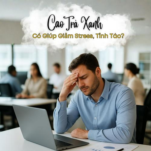 Cao Trà Xanh Hòa Tan Có Giúp Giảm Stress, Tỉnh Táo Hơn Mỗi Ngày?