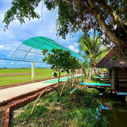 Kinh Nghiệm Đi Phú Điền Để Không Bị Hụt Hẫng