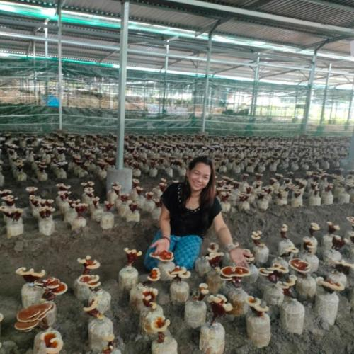 Nông Nghiệp Tuần Hoàn Từ Dược Liệu Tự Nhiên