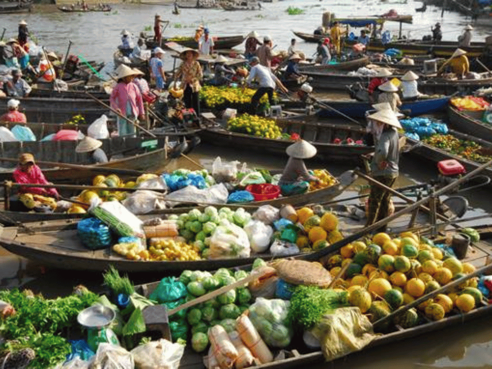 Giới thiệu về chúng tôi