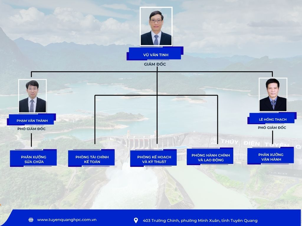 Cơ cấu tổ chức