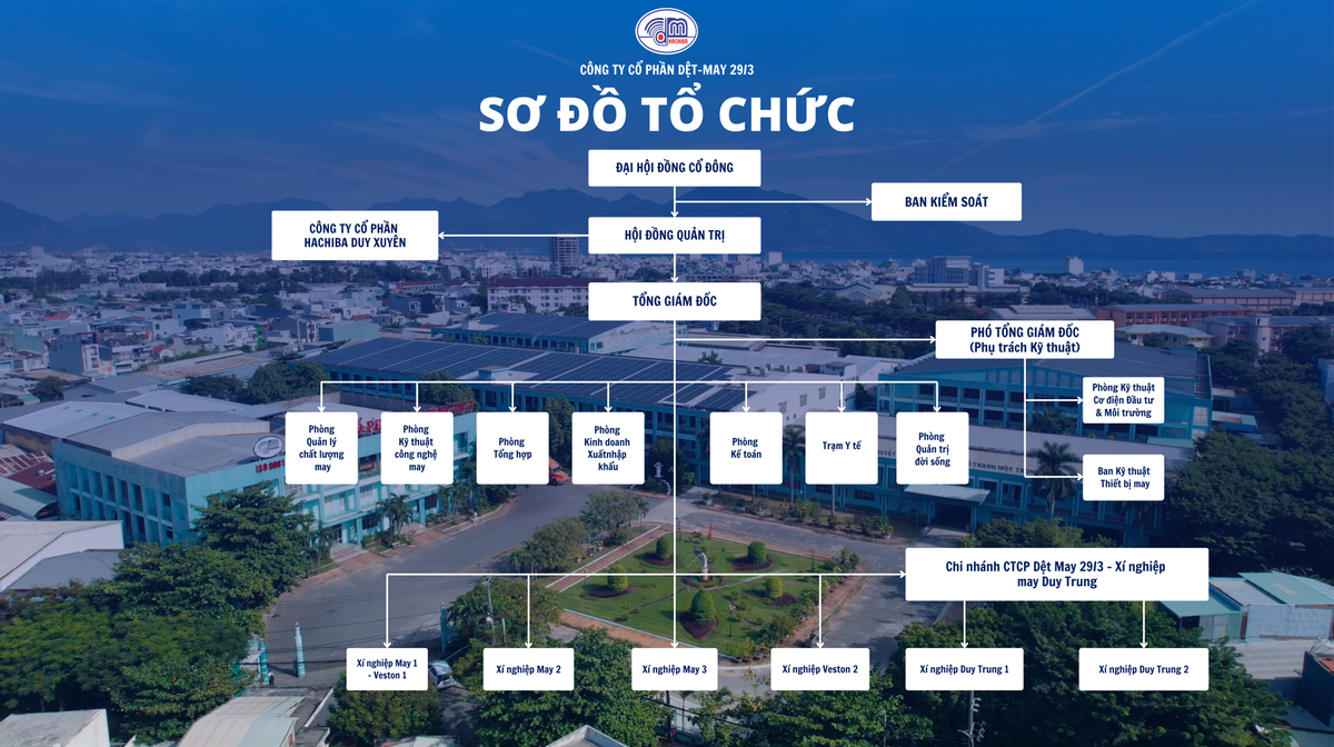 Sơ đồ tổ chức