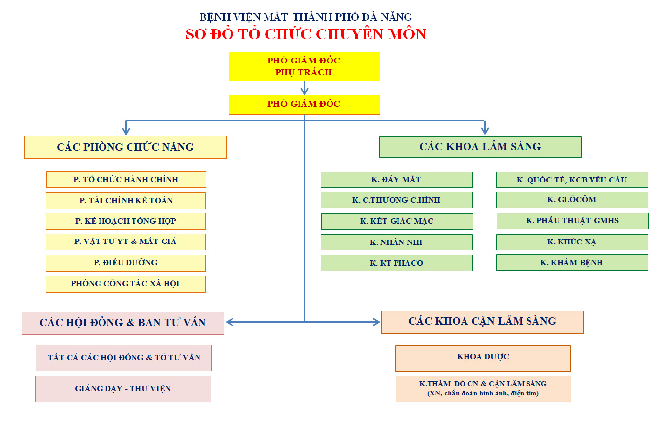 Sơ đồ tổ chức