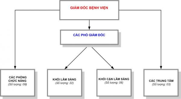 Sơ đồ tổ chức