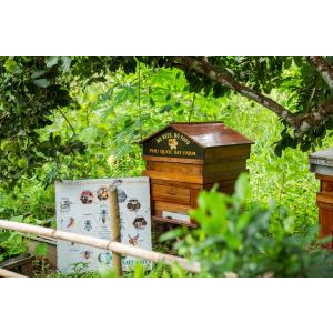 (TOUR GHÉP) Chèo Thuyền Thúng Sông Cửa Cạn + Tham Quan Trang Trại Mật Ong