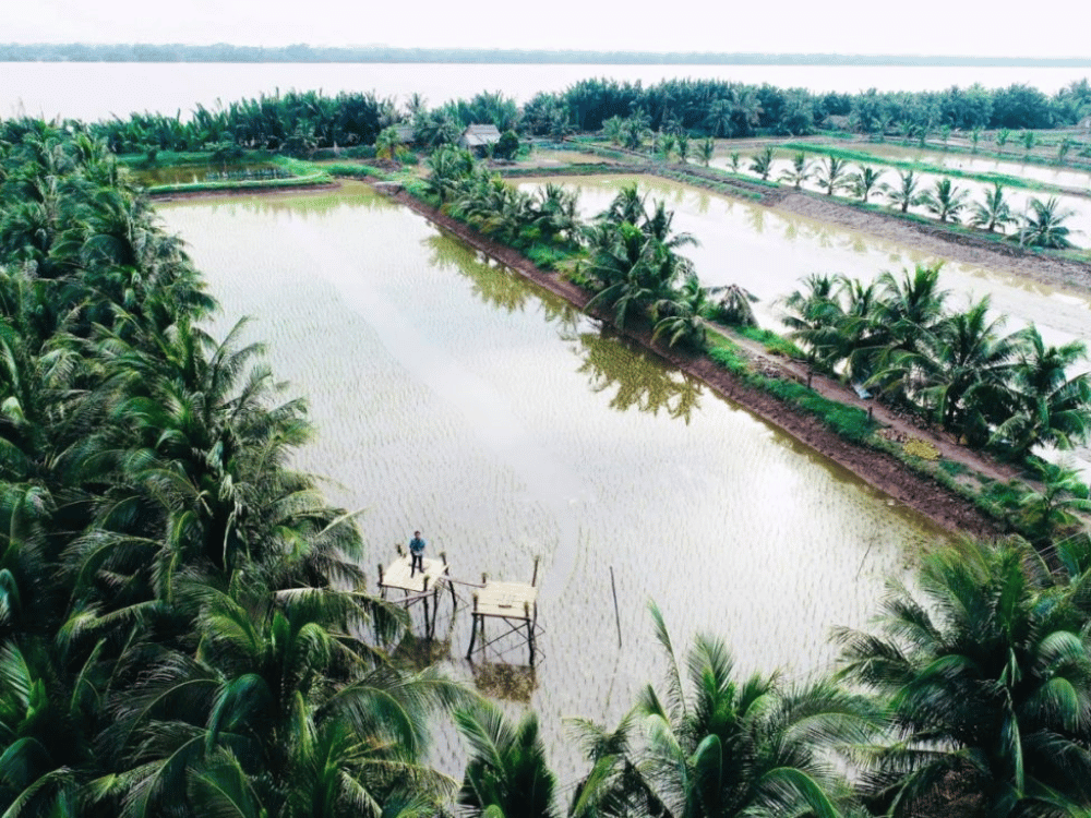 Trải nghiệm du lịch thuận thiện