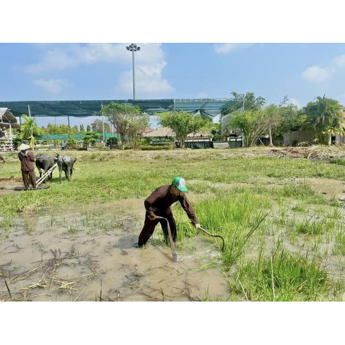 Tour tham quan kết hợp giáo dục kỹ năng sống