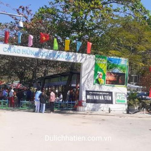 Chức năng - Nhiệm vụ - Quyền hạn