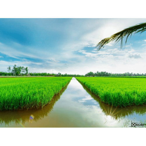 Trải nghiệm du lịch thuận thiện