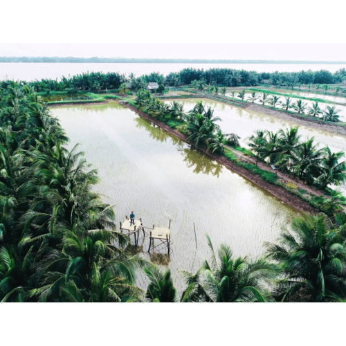 Trải nghiệm du lịch thuận thiện