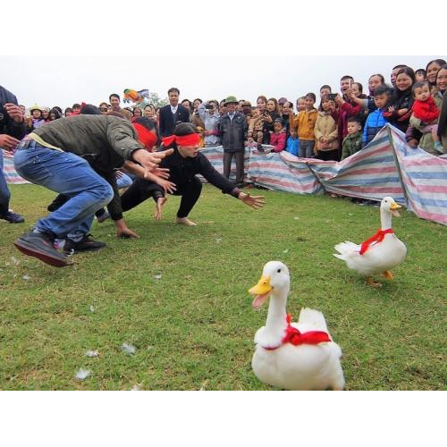 Khu trò chơi dân gian