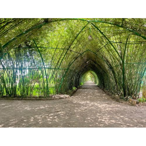 Tham quan Check-in với nhiều tiểu cảnh