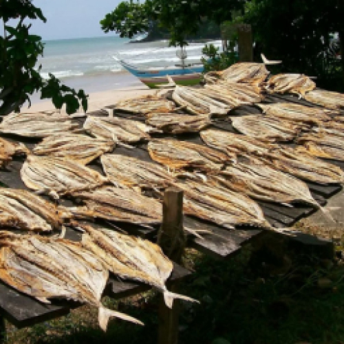 Các loại khô