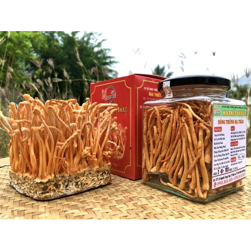 Đông Trùng Hạ Thảo Sấy Khô 25gram