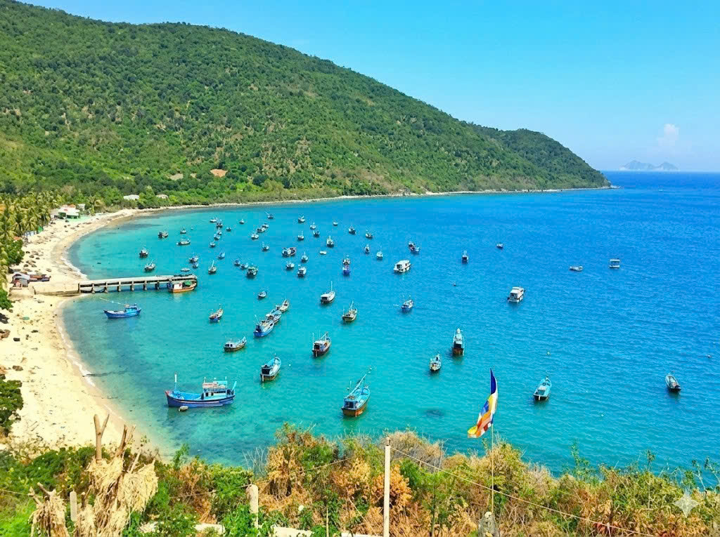 Định hướng phát triển