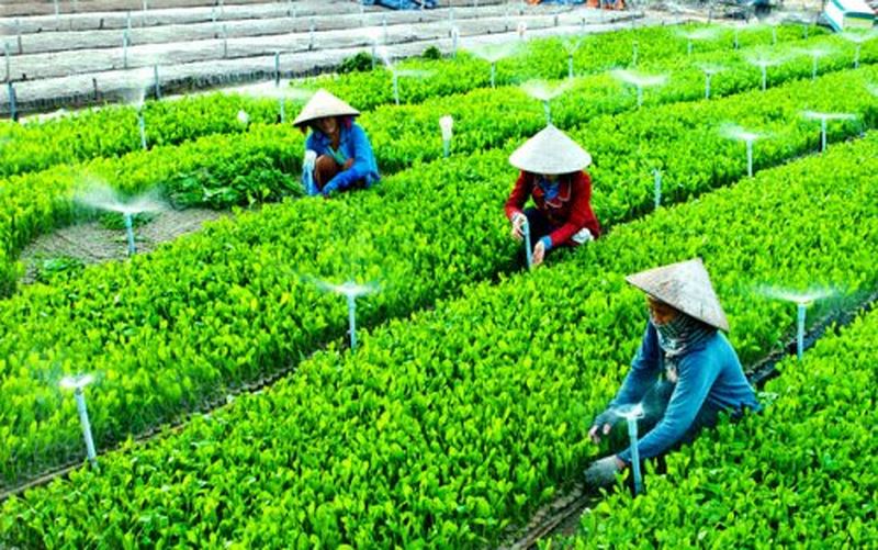Tổng quan về chúng tôi