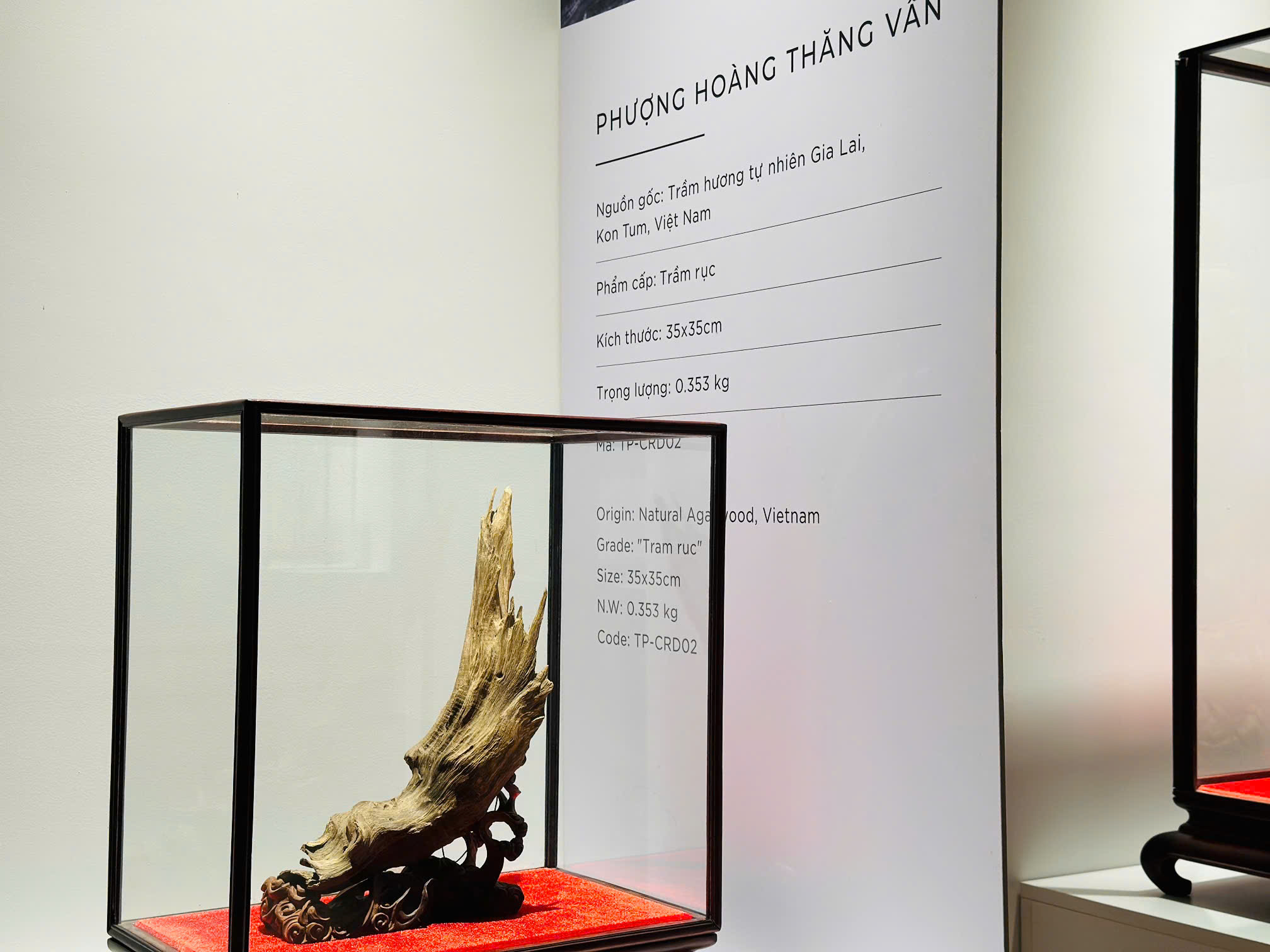 Giới thiệu sản phẩm