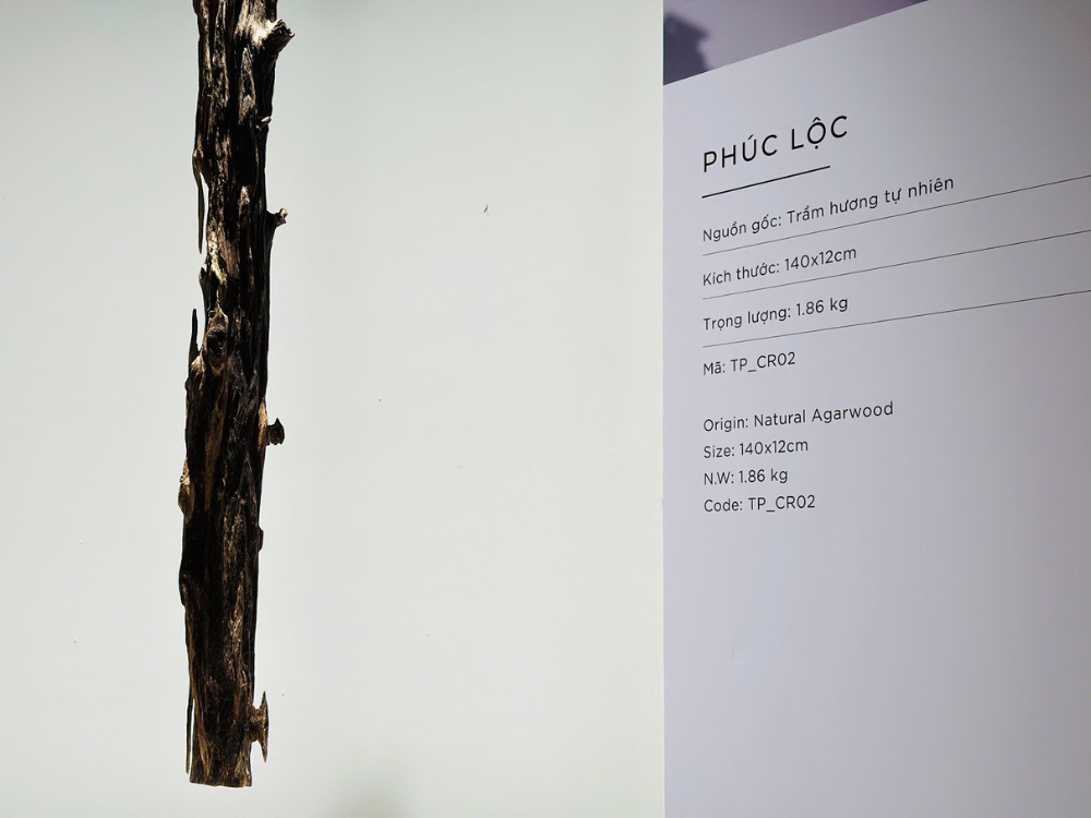 Giới thiệu sản phẩm