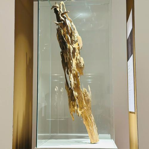 Trầm Cảnh Trúc Mã