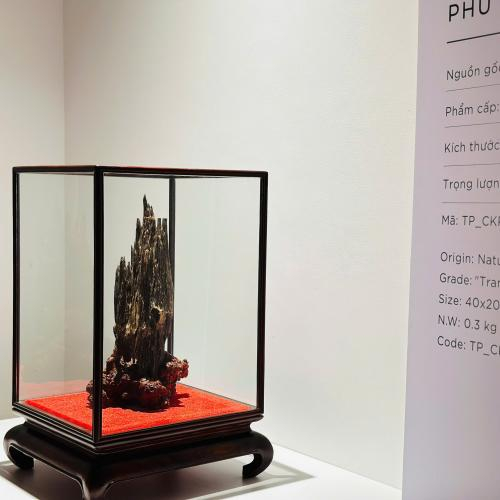 Trầm Cảnh Phú Quý