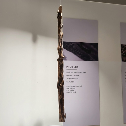 Trầm Cảnh Phúc Lộc