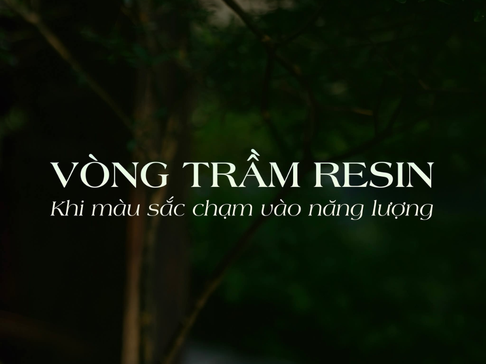 Thành phần & nguyên liệu
