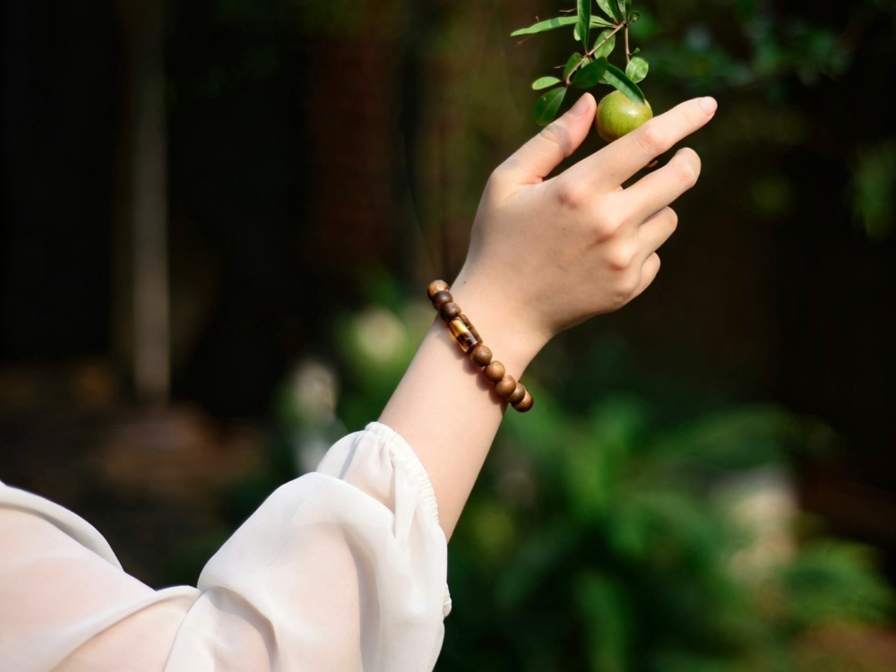 Giới thiệu sản phẩm