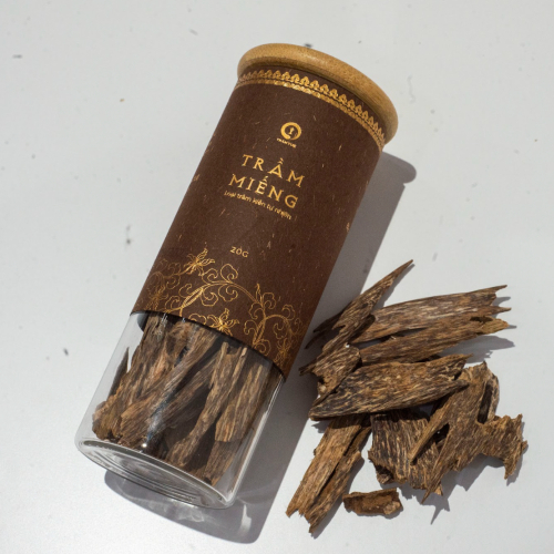 Trầm Miếng Kiến Vi Sinh