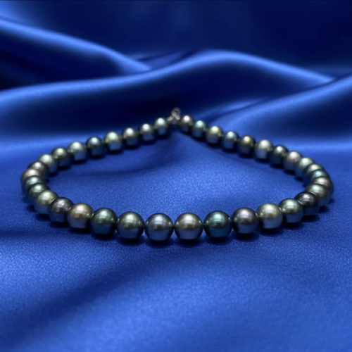 Elite Tahiti Saltwater Pearl Necklace