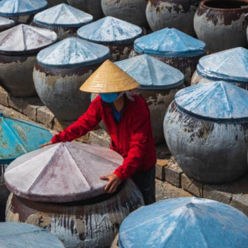 Những Loại Cá Được Ưa Chuộng Để Làm Nguyên Liệu Cho Những Loại Nước Mắm Truyền Thống