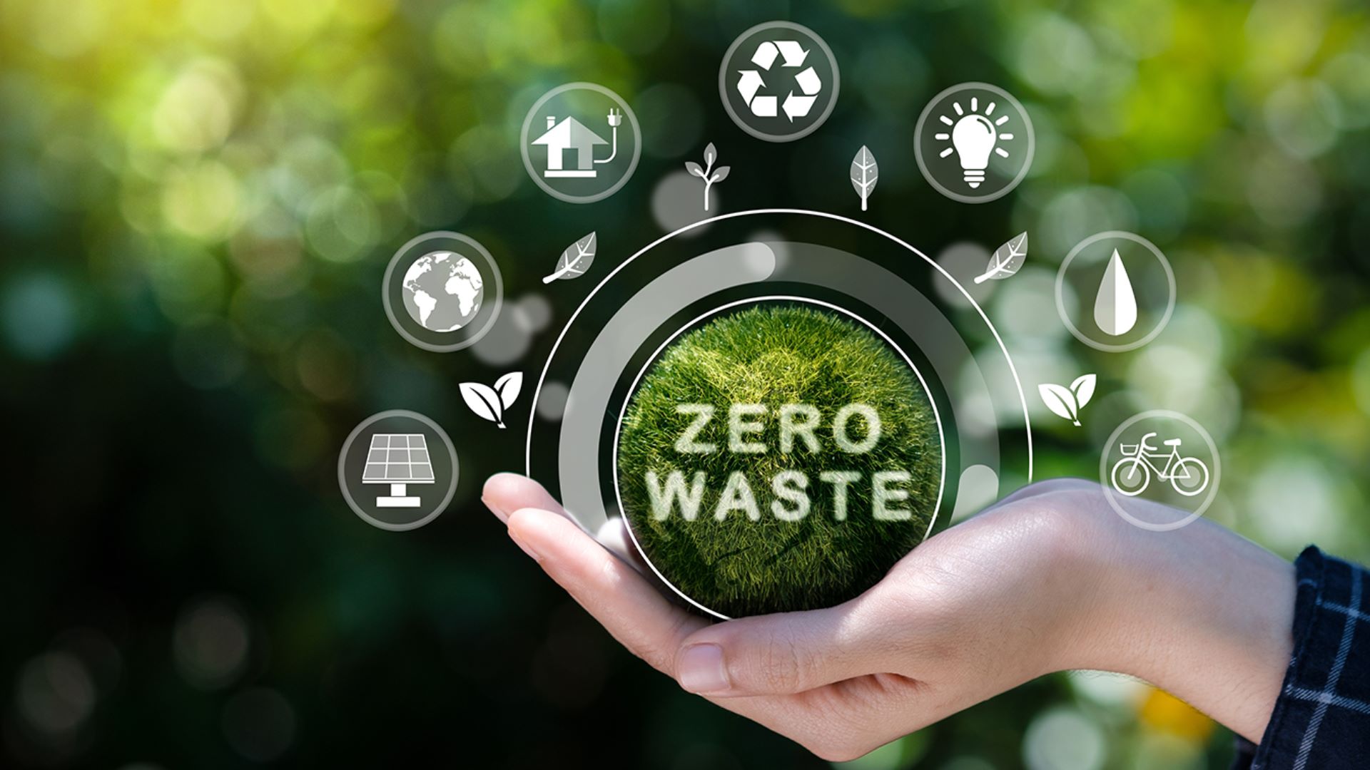 Xu hướng Zero Waste