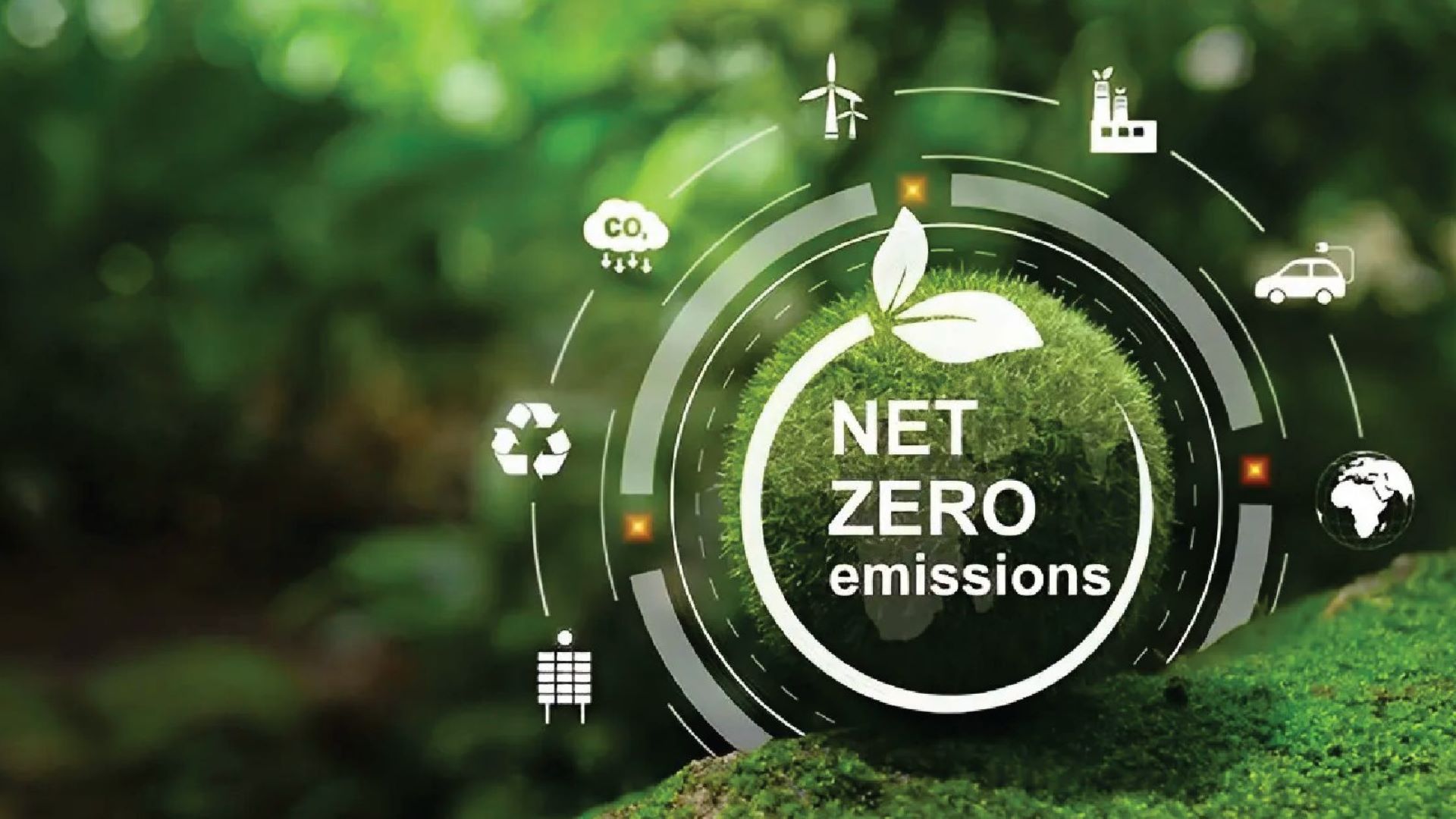 Xu hướng Net-Zero