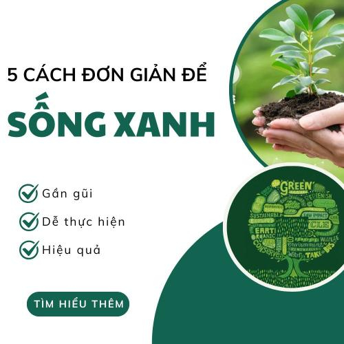 5 Cách Đơn Giản Để Sống Xanh