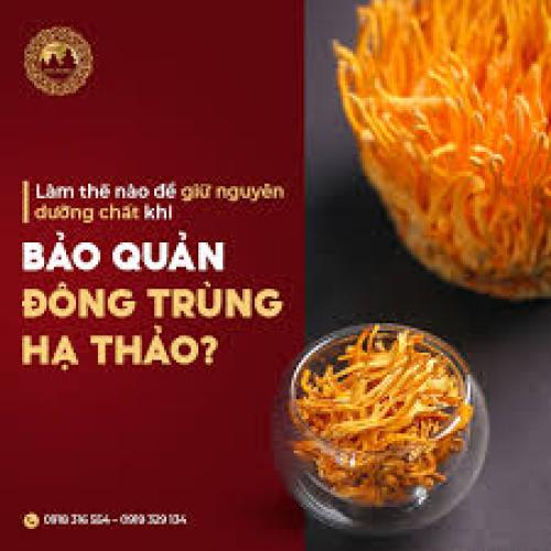 Cách Bảo Quản Đông Trùng Hạ Thảo