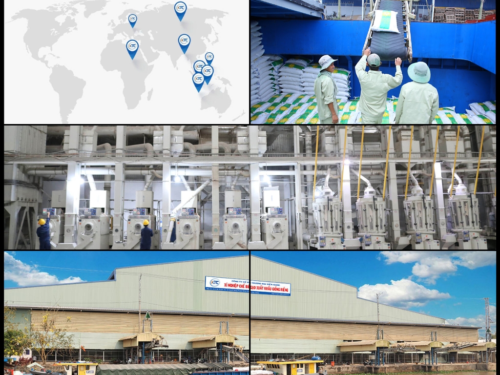 1. Xuất khẩu Gạo