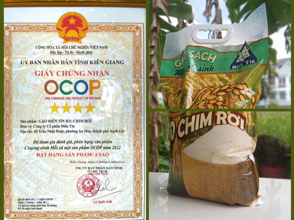 Đặc điểm nổi bật