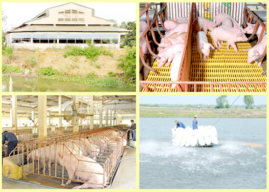 2. Trại Chăn nuôi Vĩnh Khánh