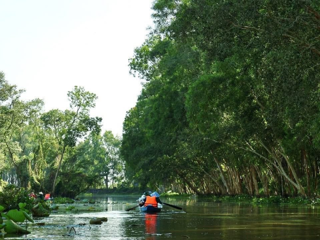 Vé xuồng chèo (Rowing-boat)