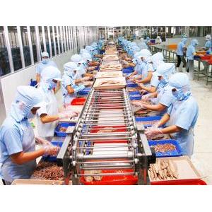 Công Ty Cổ Phần Thương Mại Kiên Giang