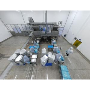 Công Ty CP Thủy Sản Tắc Cậu