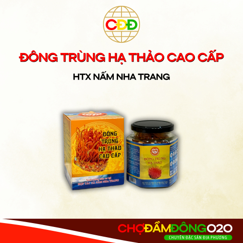 Đông Trùng Hạ Thảo Cao Cấp HTX Nấm