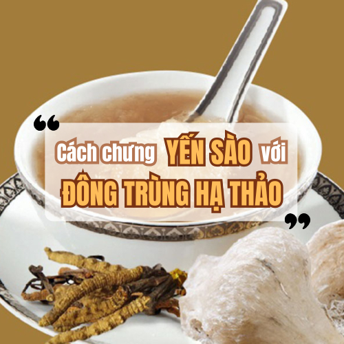 Cách Chưng Yến Với Đông Trùng Hạ Thảo Bồi Bổ Sức Khỏe