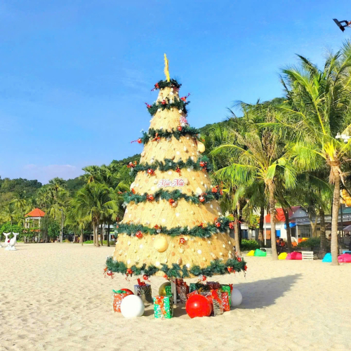 Giáng Sinh Trên Biển Xanh - Check-in Cây Thông Mũi Nai