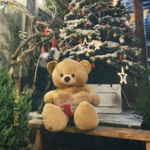 Giáng Sinh Gõ Cửa - Hà Tiên Rực Rỡ Sắc Màu Noel